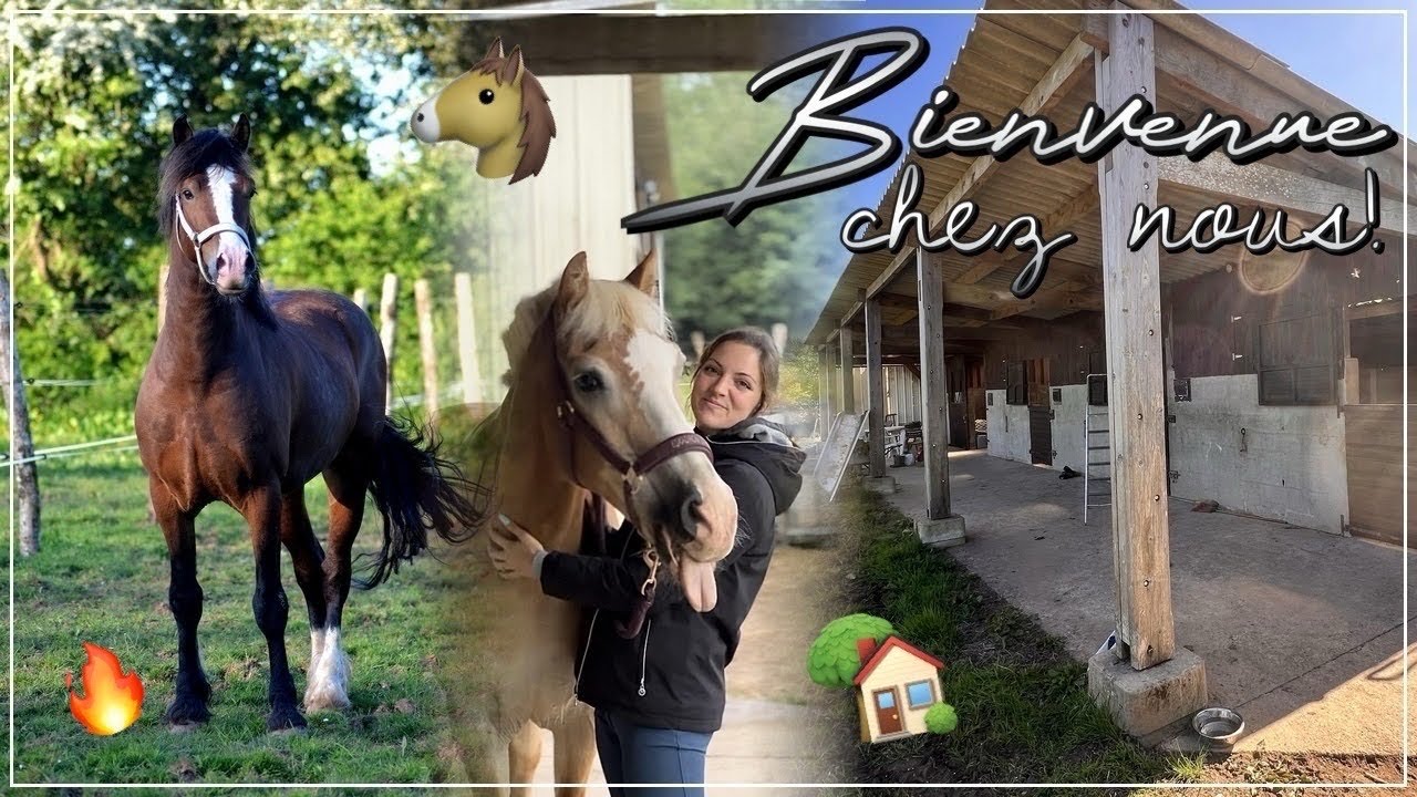 J’AI MA PROPRE ÉCURIE PRIVÉE ! 🏡🐴