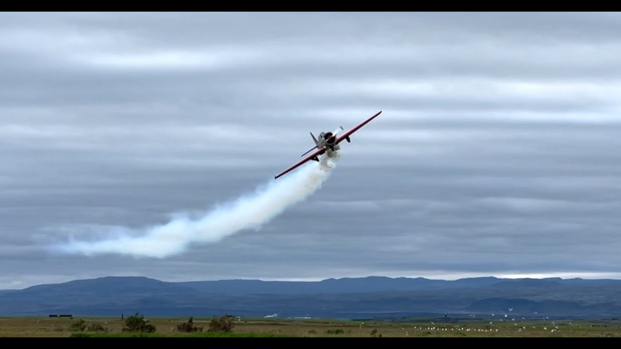 Yak 52 Aerobatics with a stag