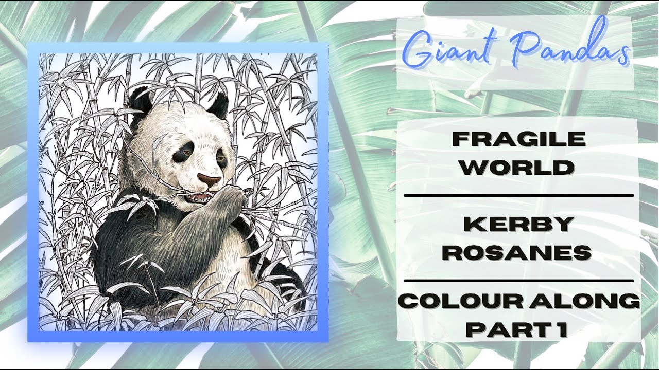 Colour Along | Fragile World by Kerby Rosanes | Giant Pandas | Part 1
