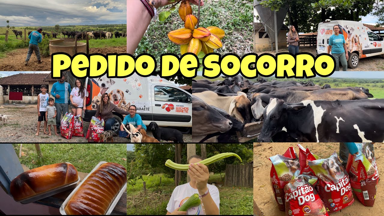  ‼️😱AINDA EXISTEM PESSOAS BOAS NO MUNDO FICAMOS MUITO FELIZES COM A AJUDA🌍 🐶