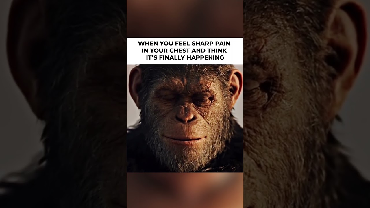 WHEN YOU FEEL SHARP PAIN IN YOUR CHEST AND THINK IT'S FINALLY HAPPENING #CFS #CFSRECOVERY #CFSME