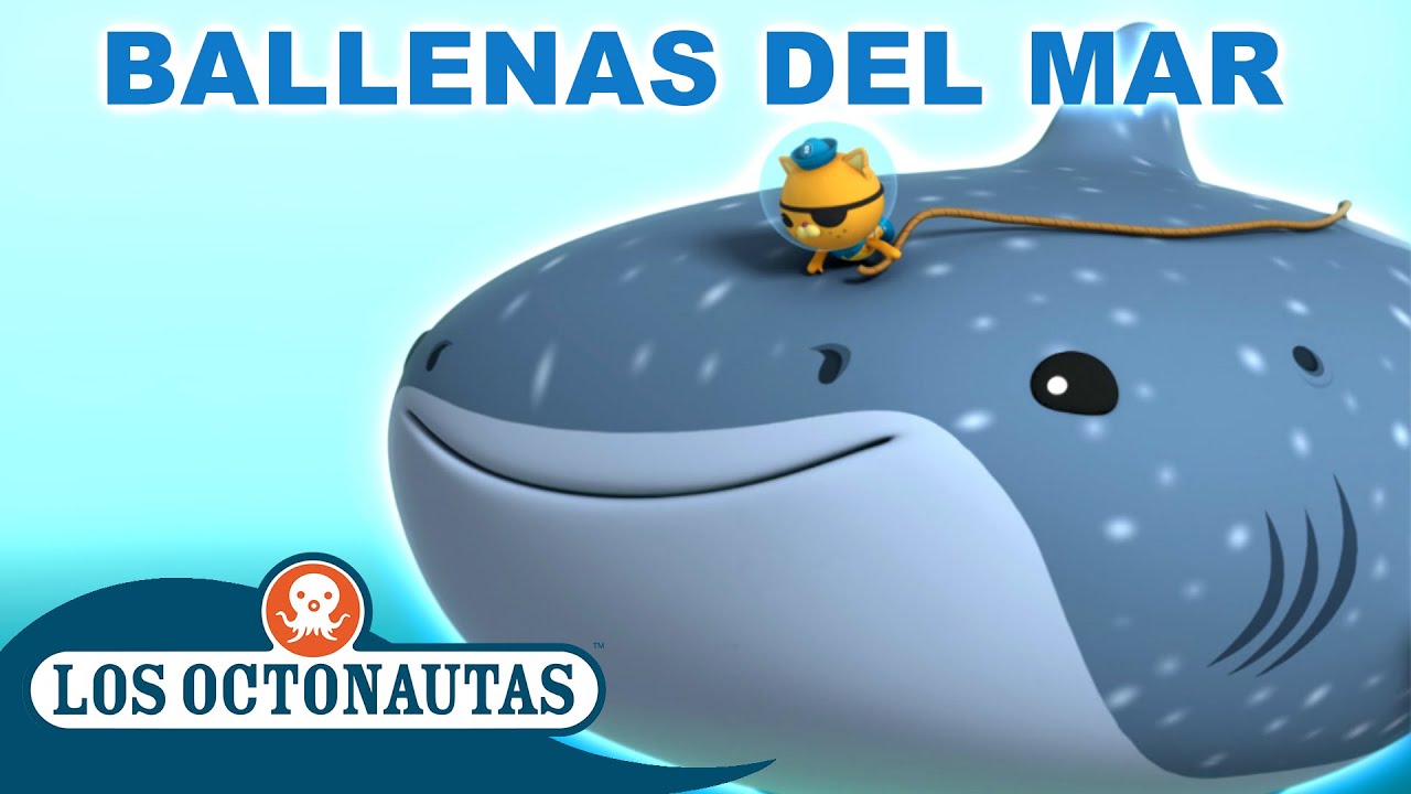 Los Octonautas Oficial En Español - Ballenas del mar | ¡Especial de una hora! | Episodios Completos