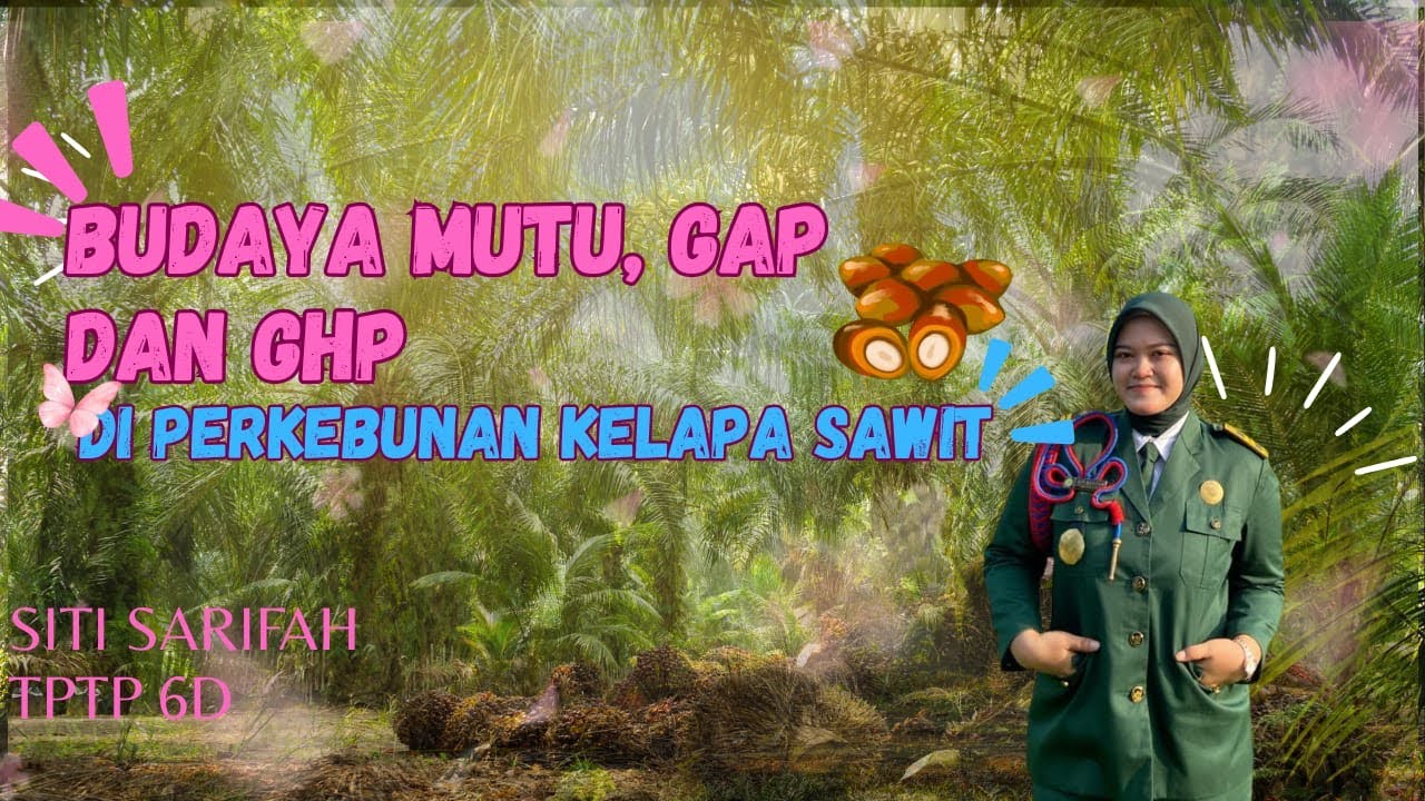BUDAYA MUTU,GAP DAN GHP PERKEBUNAN KELAPA SAWIT