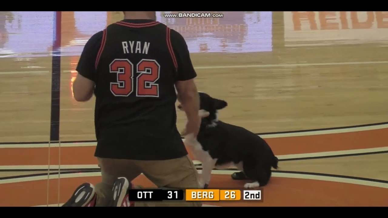 Bob Ryan - Biscuit - Performance Dogs of Ohio - Heidelberg University