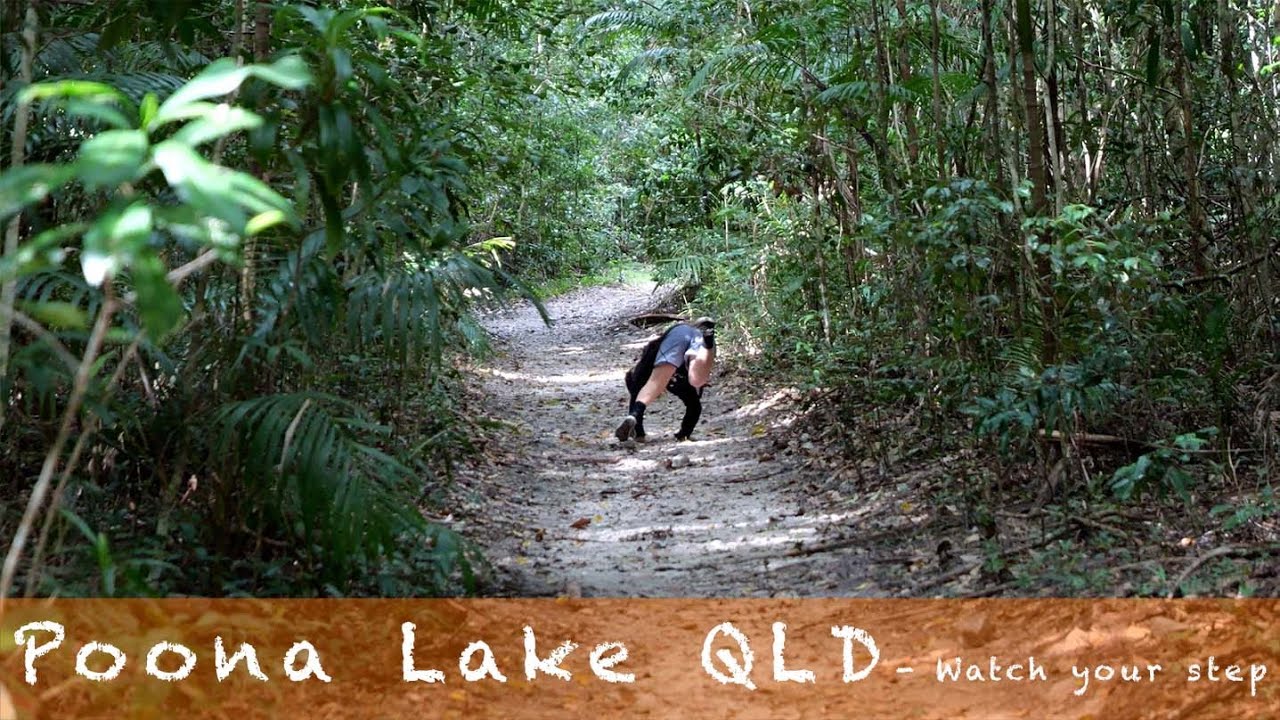 Poona Lake Cooloola Coast - QLD