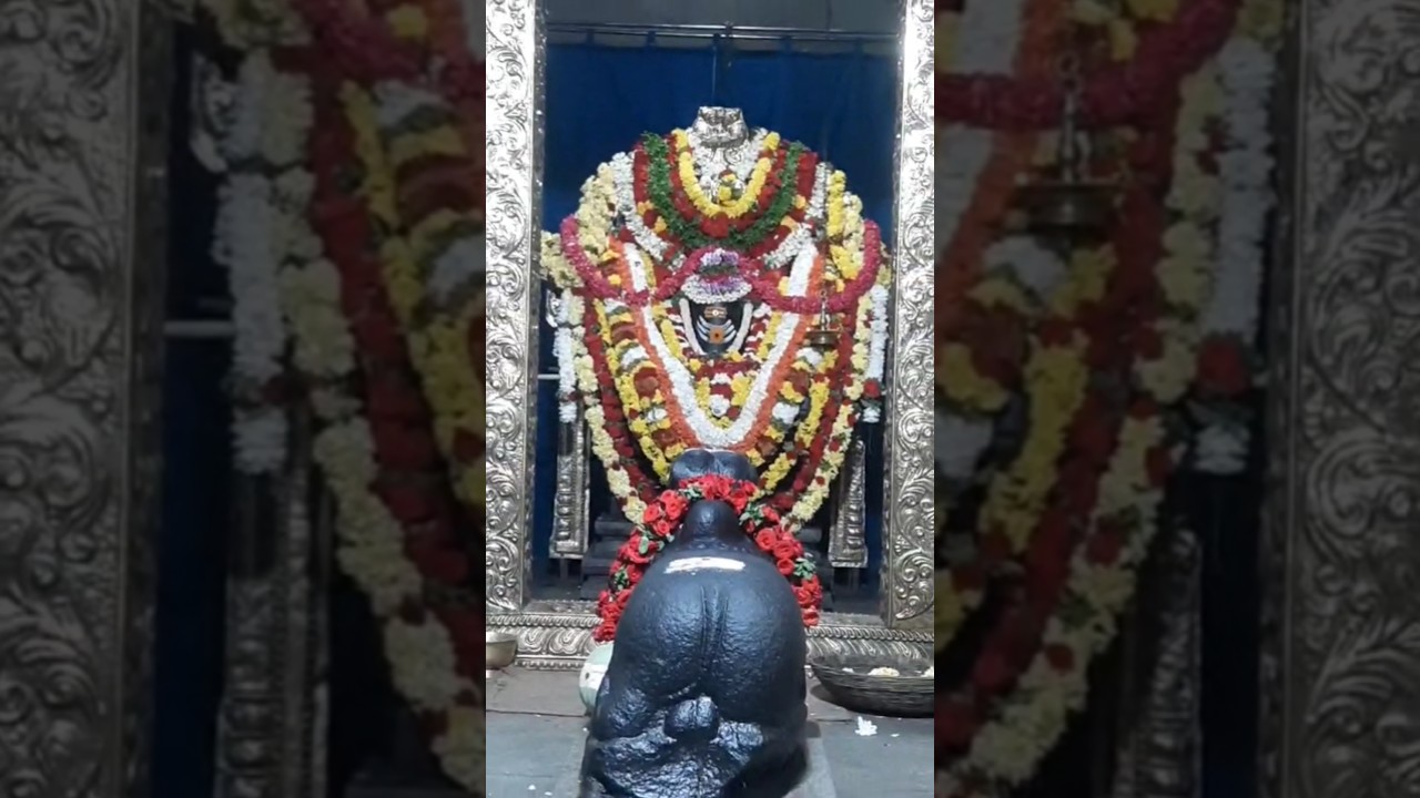kitna pyara hai sringar#trending#upay#shiv#mahadev#status#live#shorts#