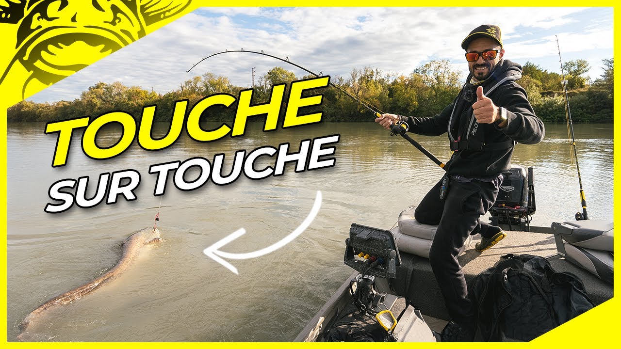 SILURE EN VERTICAL | La PÊCHE du SILURE à son MEILLEUR | Pêche du silure sur le Rhône