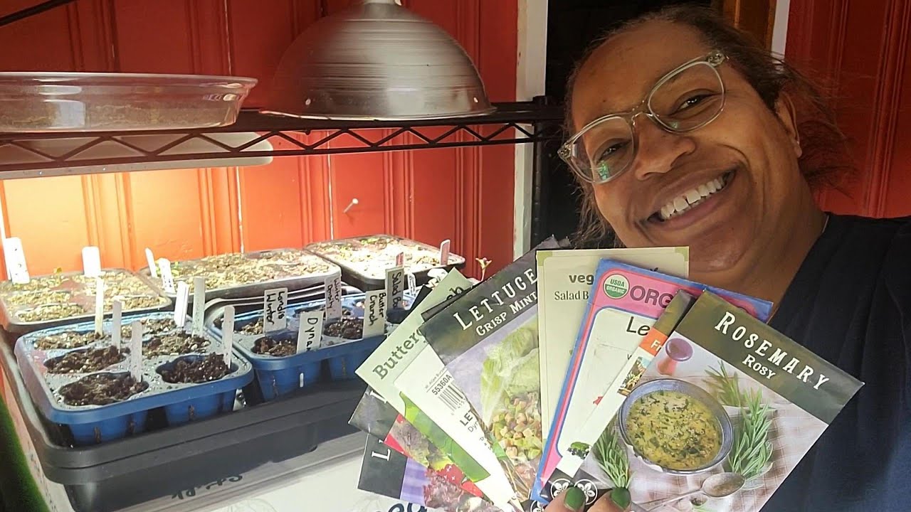 Starting more Veggie Seeds