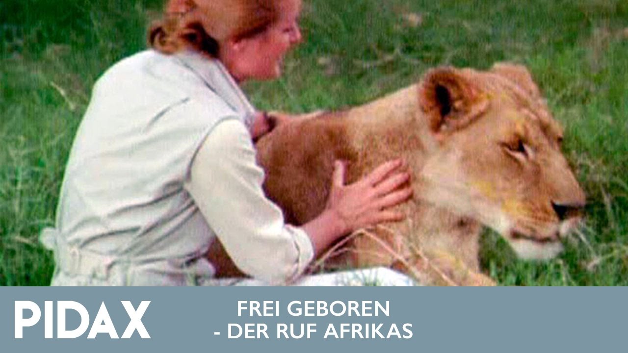 Pidax - Frei geboren - Der Ruf Afrikas (1974, TV-Serie)