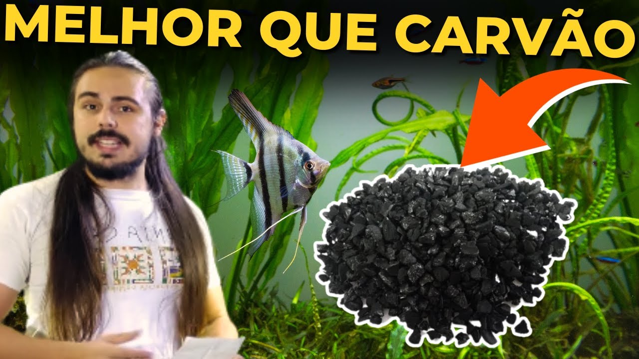 🔴CARV&Atilde;O ATIVADO N&Atilde;O PRESTA EM AQU&Aacute;RIOS |Mr. Betta|