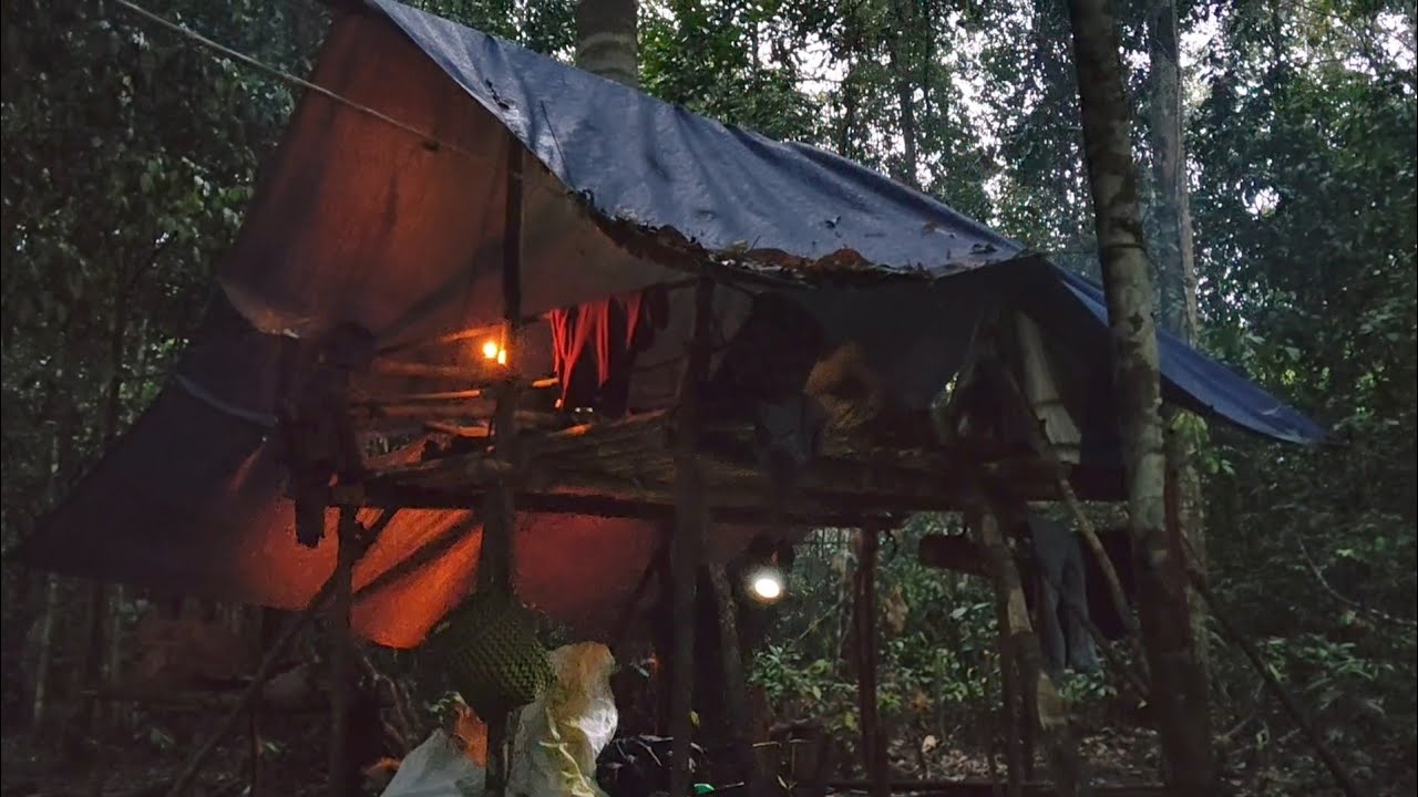 2 HARI BERMALAM DI HUTAN CAMPING BERBURU MENCARI MAKANAN