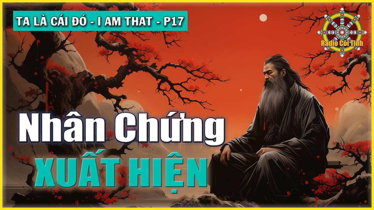 Trong Cái Tối Thượng Nhân Chứng Xuất Hiện | Ta là Cái Đó – phần 17