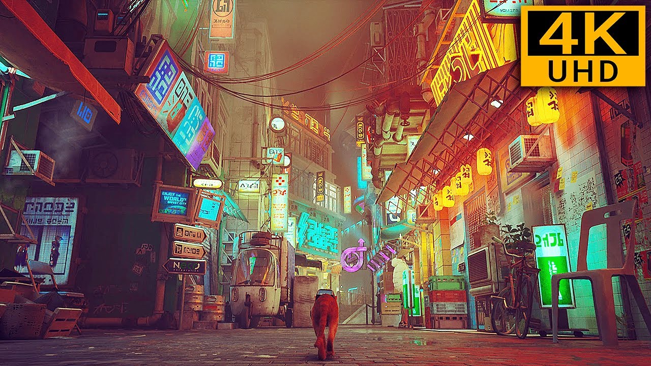 Stray - Cyberpunk City Midtown Free Roam Walking [4K 60FPS] Ultra Graphics PC Gameplay