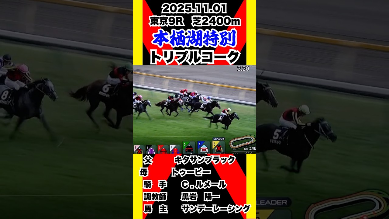 トリプルコーク【本栖湖特別】