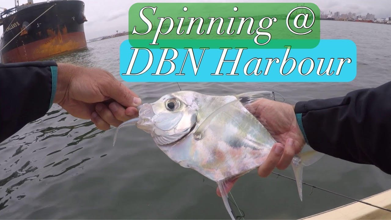 Spinning at DBN Harbour for Kingfish (KZN, South Africa)