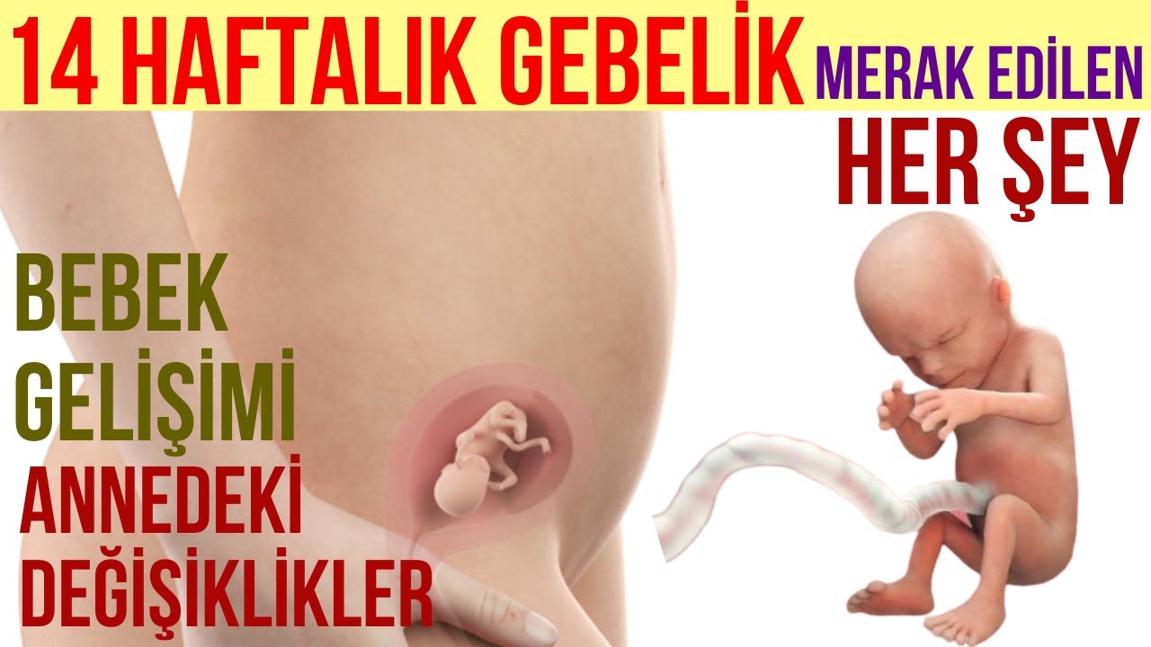 14 Еженедельно Беременность (2020)