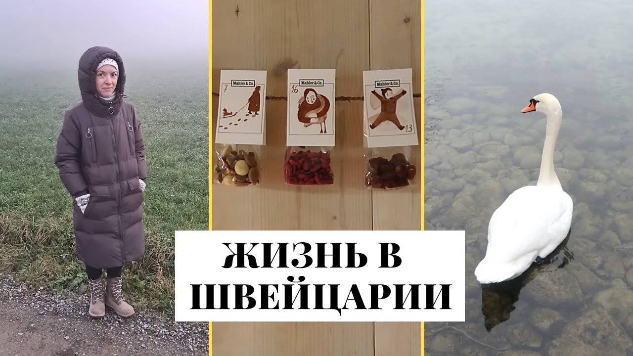 Влог: новая работа, адвент календарь, почтовый автомат, детская обувь, PhD | Швейцария