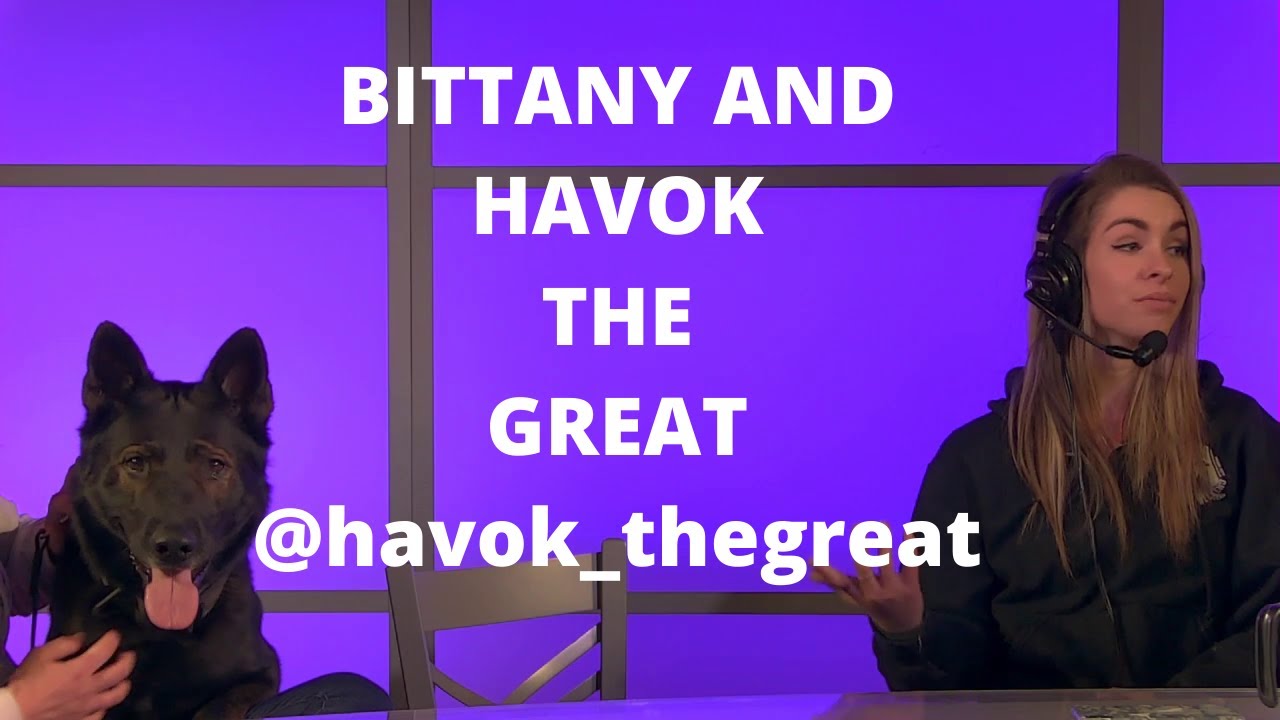 Instagram Star Havok