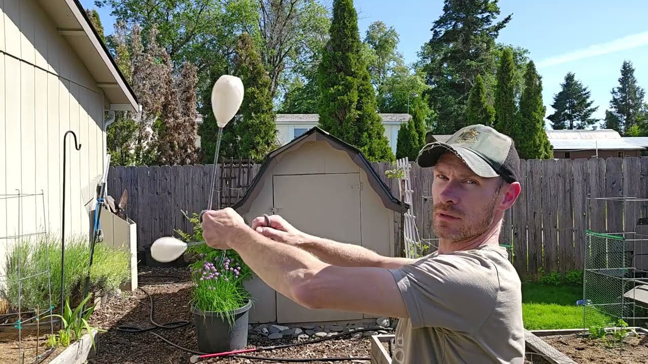 3D Poi Spinning- MM Vertical v. Vertical Weaves