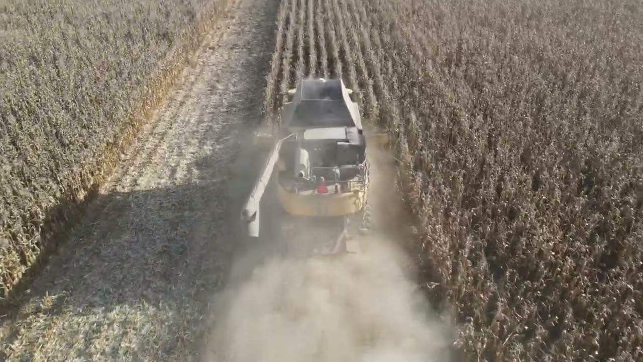 Moissons de maïs sec