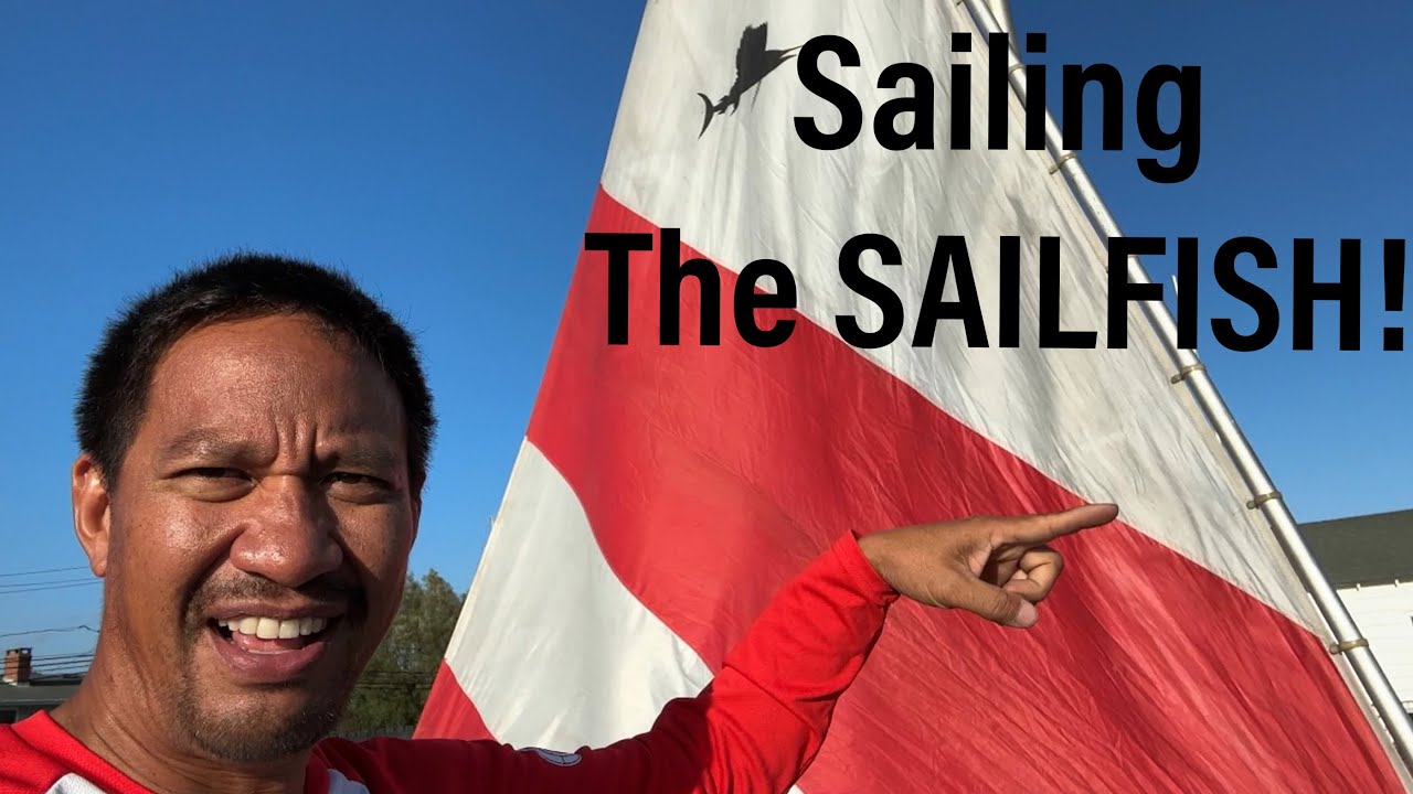 Sailfish Sailboat Sailing | The Boat that Started Sunfish Sailing