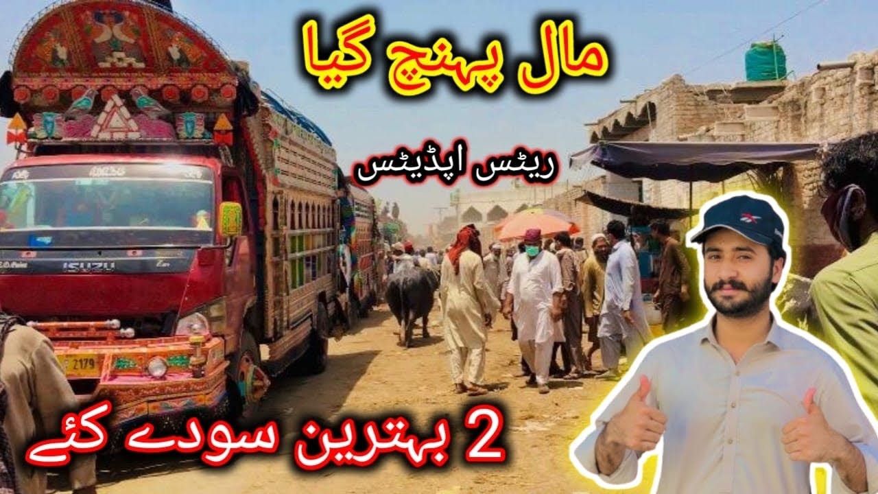 Peshawar Kala Mandi G.T Road Maweshi mandi Rates Updates Soda Hogaya Cow Mandi Pakistan Qurbani 2024