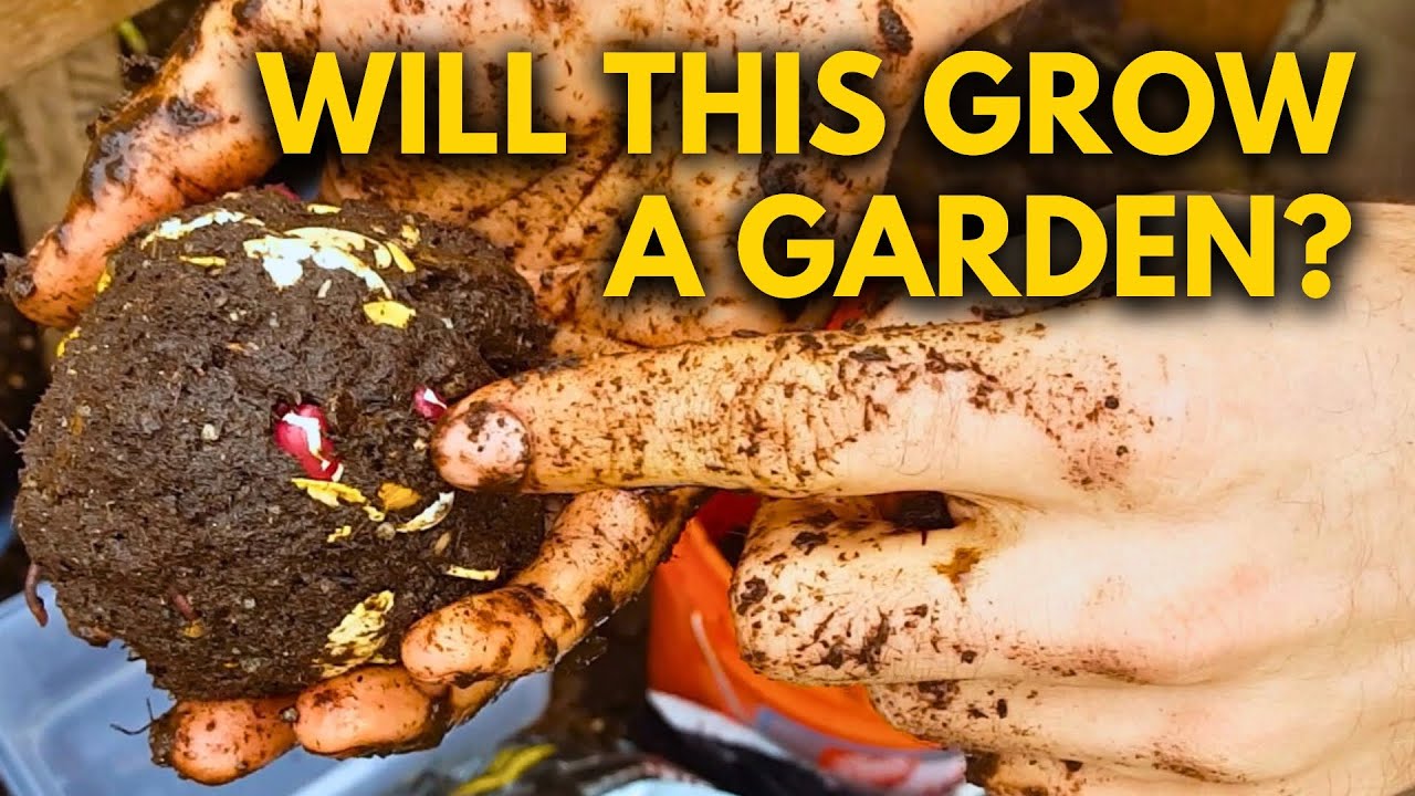 Why You Should NEVER Throw Away Old Seeds!