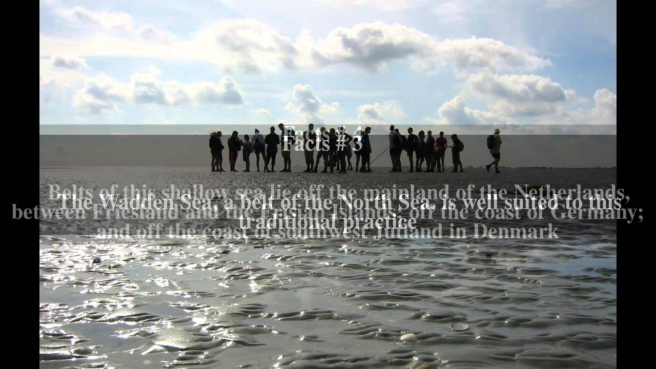 Mudflat hiking Top # 7 Facts