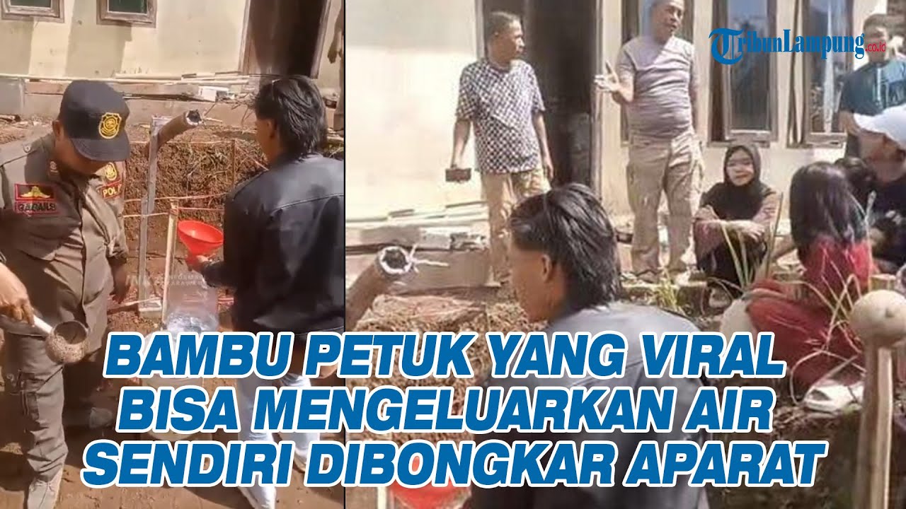 Viral Bambu Petuk Bisa Mengeluarkan Air Sendiri Bikin Heboh Warga, Akhirnya Dibongkar Aparat