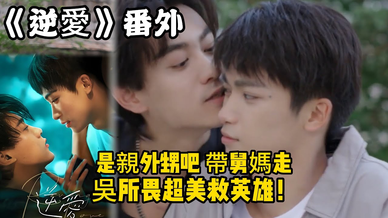 《逆愛》番外！：（95）是親外甥吧，帶舅媽走，吳所畏超美救英雄！#田栩宁 #梓渝 #吴所畏 #池骋 #逆爱 #revenged