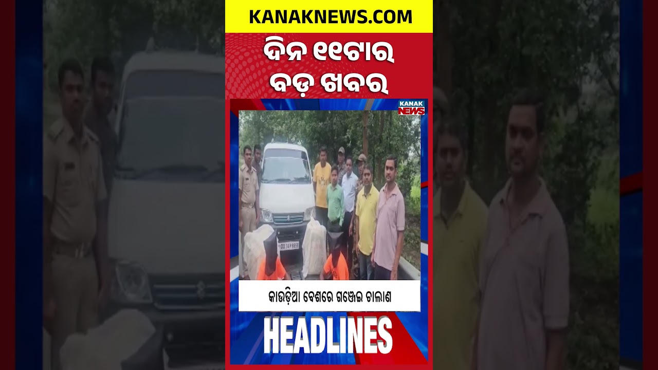 Tigress Found Dead in Similipal | Textbook Errors: Shocking RTI Revelations | 11AM Headlines
