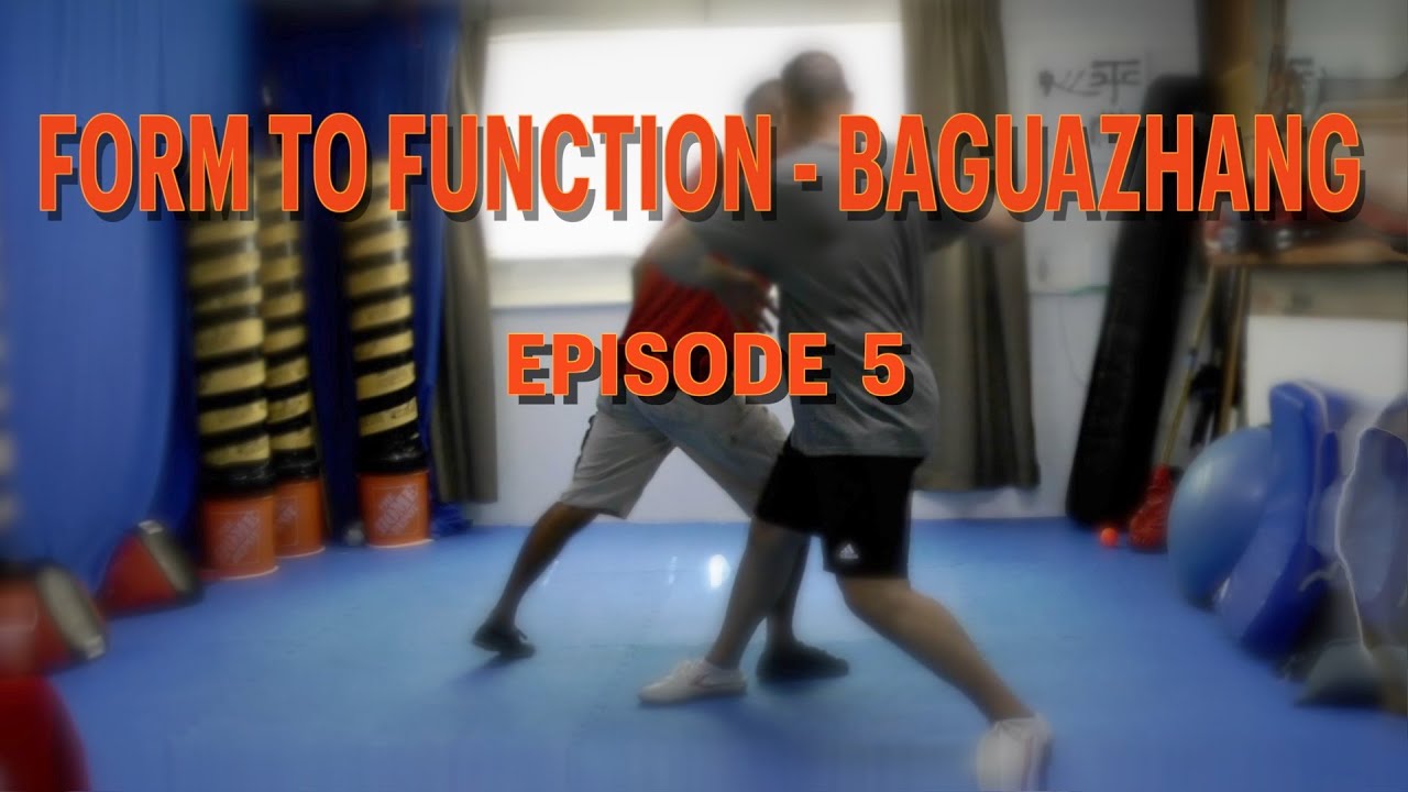 Form To Function - Baguazhang