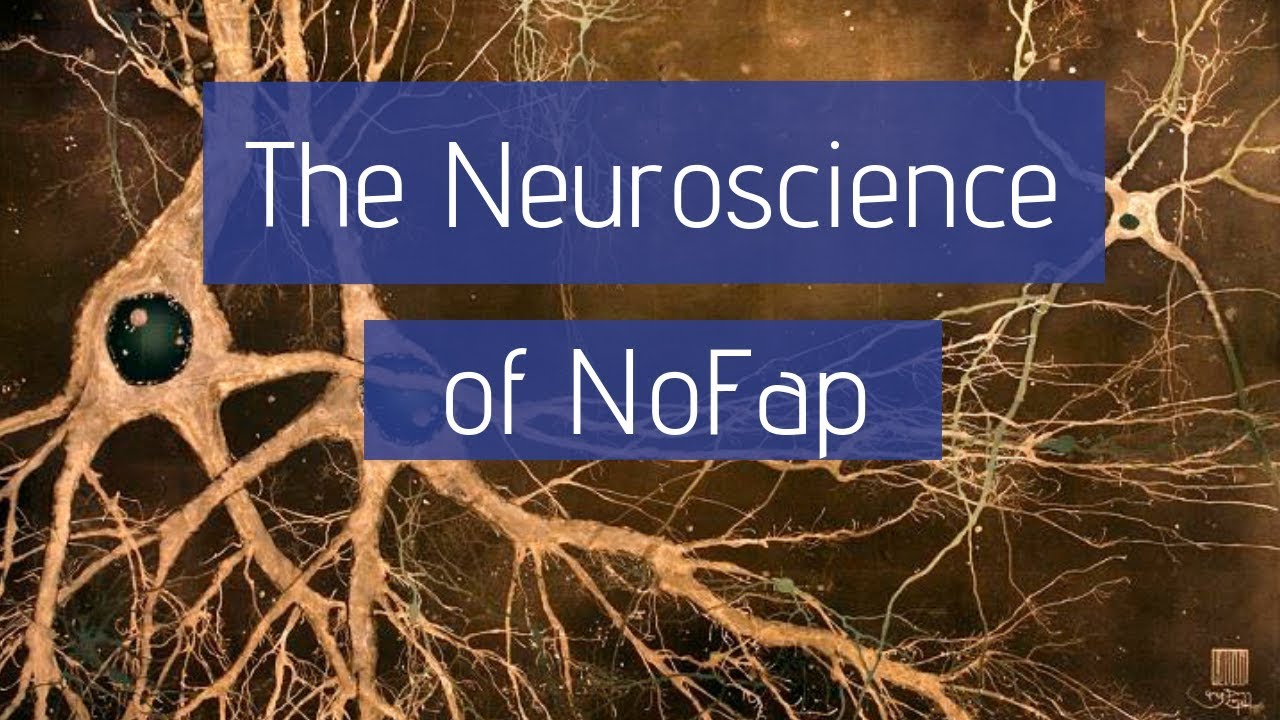 The Neuroscience of NoFap | Why Pornography Changes the Brain