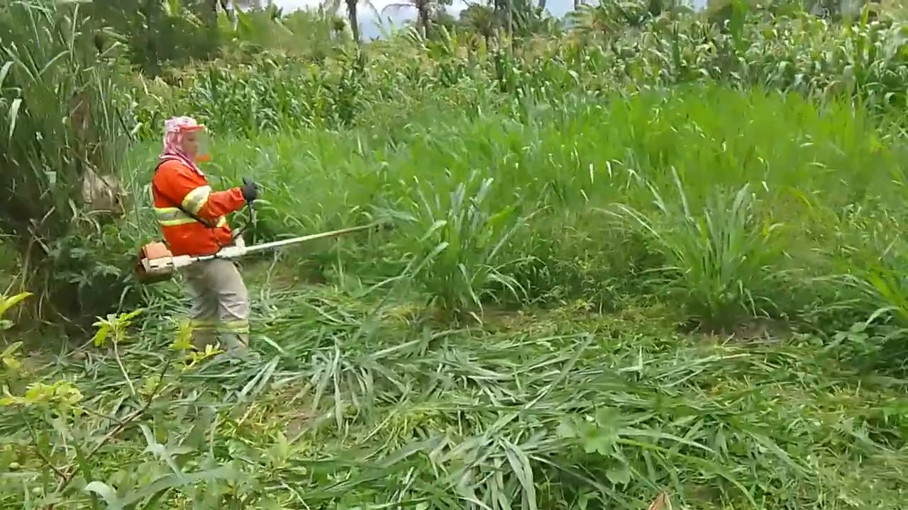 Roçando #rocadeira  stil 220