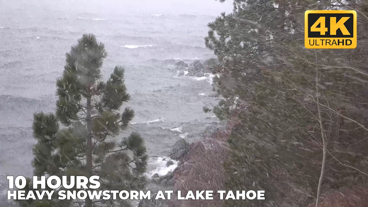 Heavy Snowstorm strikes Lake Tahoe | Winter Outdoor Ambience | Howling Wind & Waves Sounds