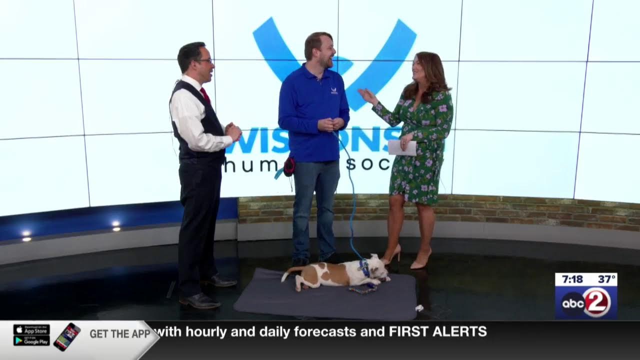 3/6/2026 Action 2 News This Morning: LIVESTREAM