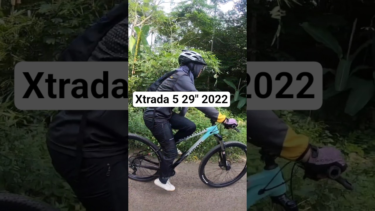 Sepeda Gunung Polygon Xtrada 5 29