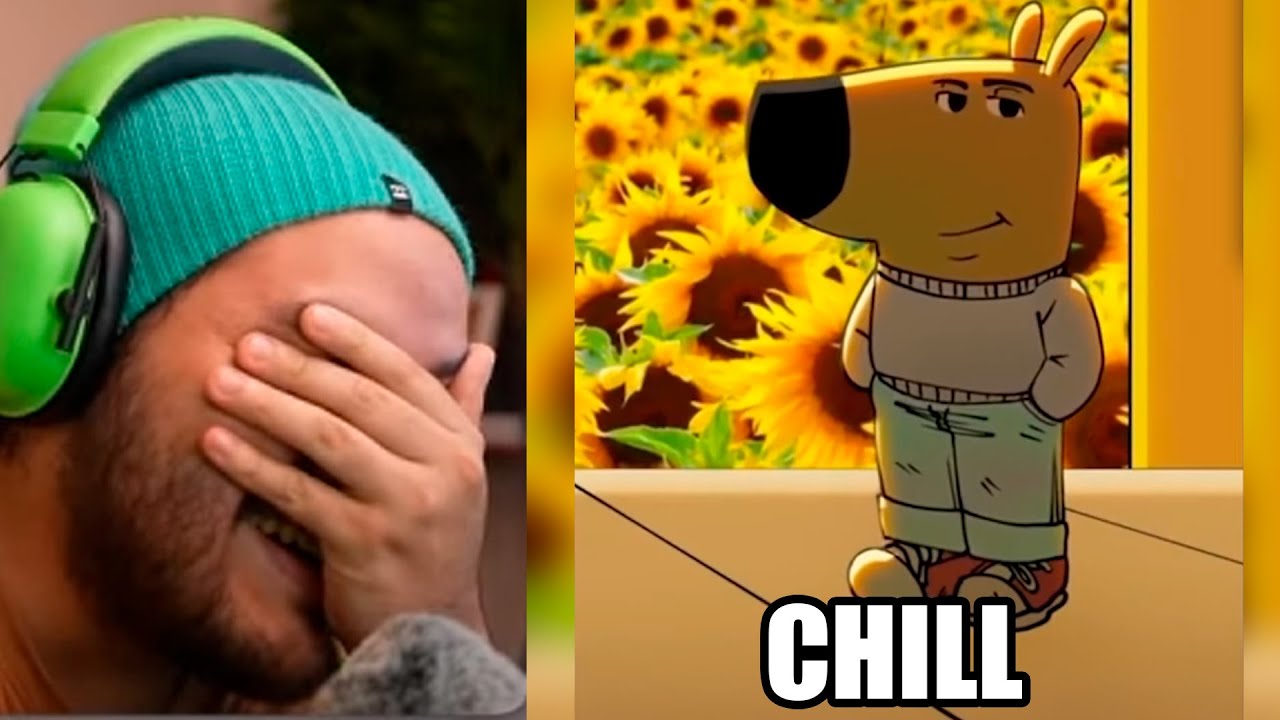 TIKTOKS tan XD que sacarán TU PERRO DE CHILL INTERIOR