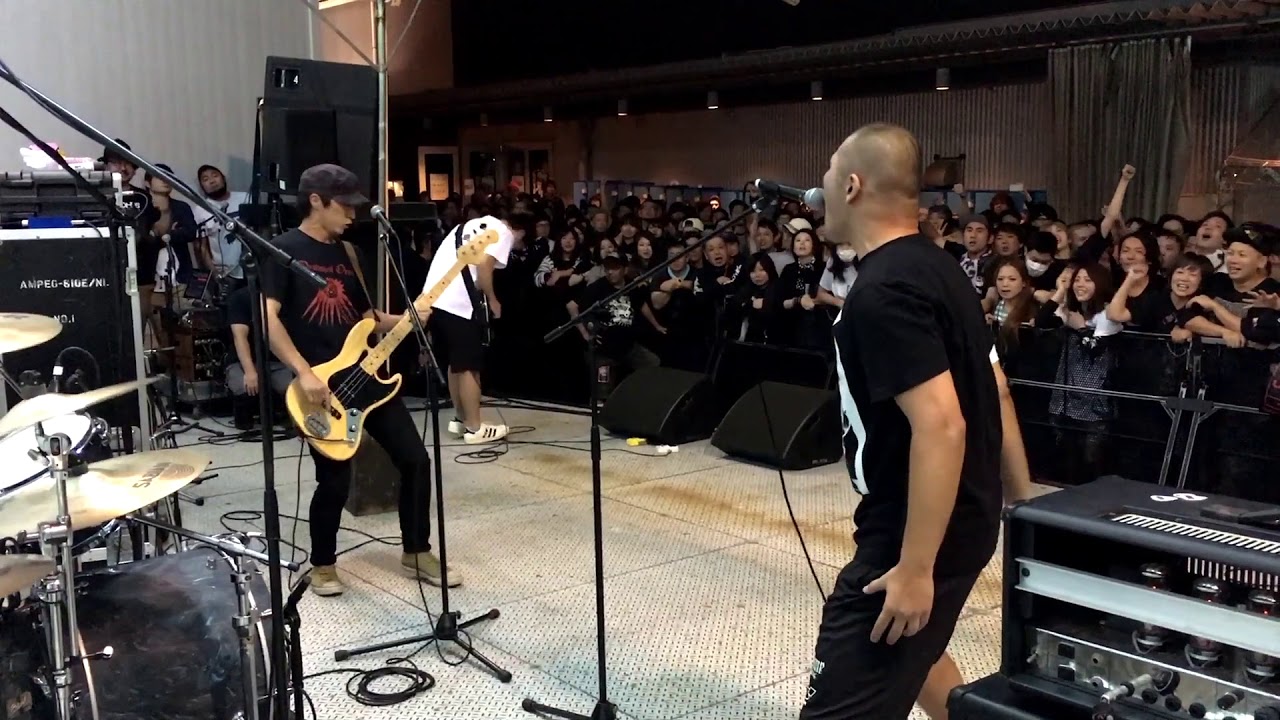 kamomekamome : LIVE at ECHOES 2016 [OFFICIAL VIDEO]