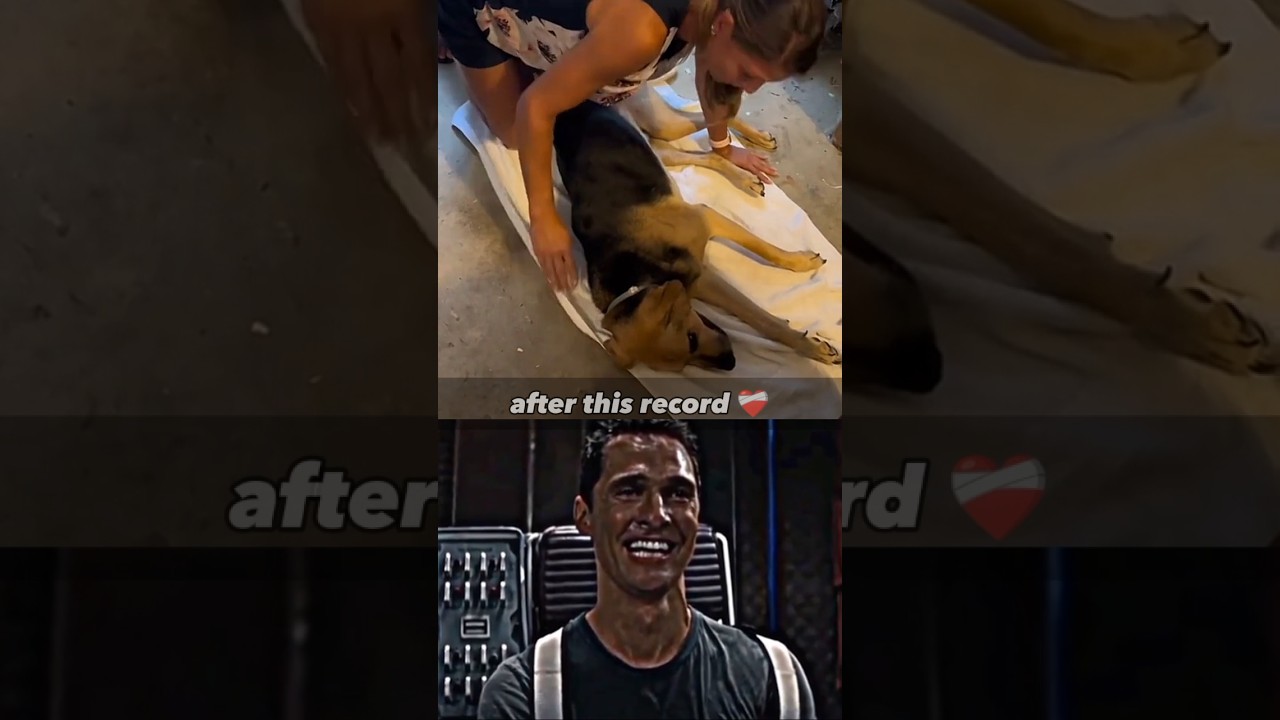 Dog Sad Moments (LAST MOMENT) ❤️&zwj;🩹