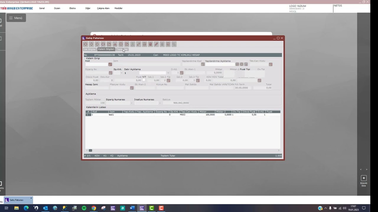 Netsis Anlık E-Belge Basımı