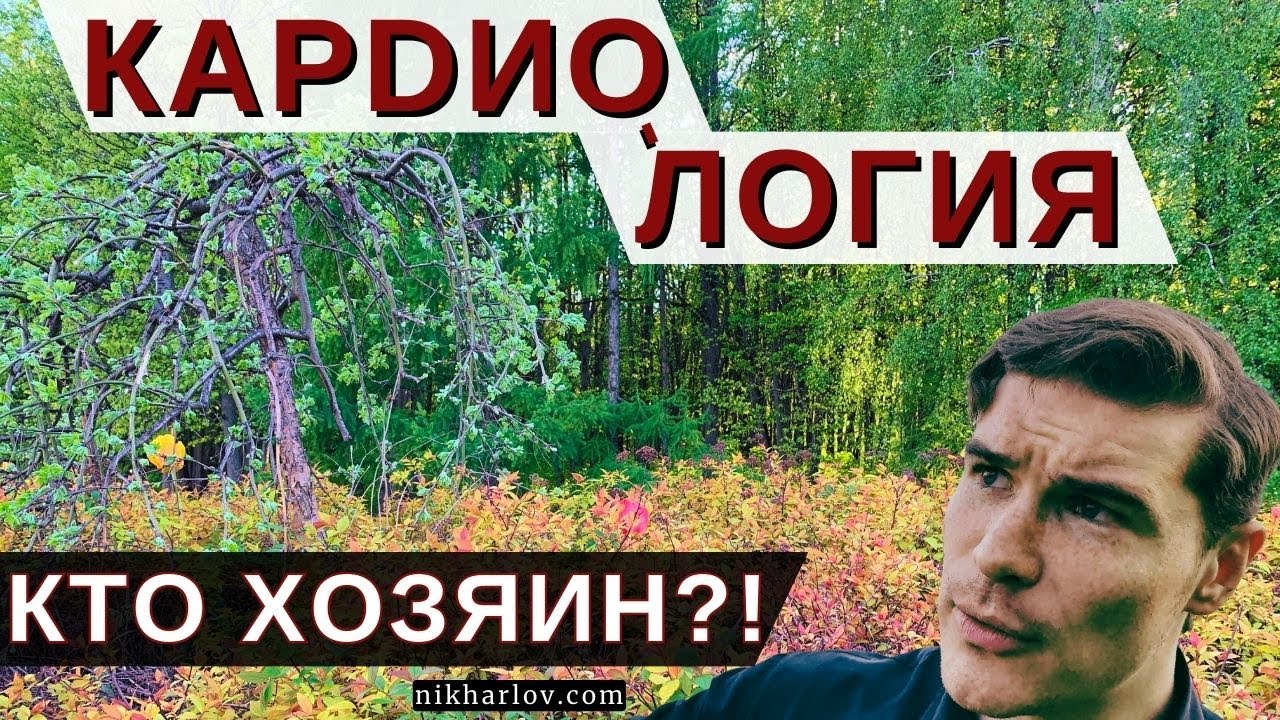Кето диета увеличивает плохой холестерин ЛПНП — Когда ждать атеросклероз. Что скажет кардиология?