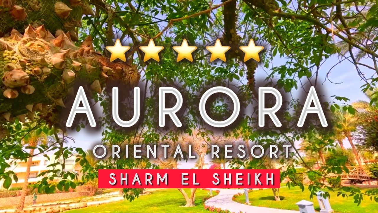 🇪🇬УДИВИЛИ / ПЯТЬ ЗВЕЗД / AURORA ORIRNTAL RESORT / ПЕРВАЯ ЛИНИЯ / Шарм эль Шейх