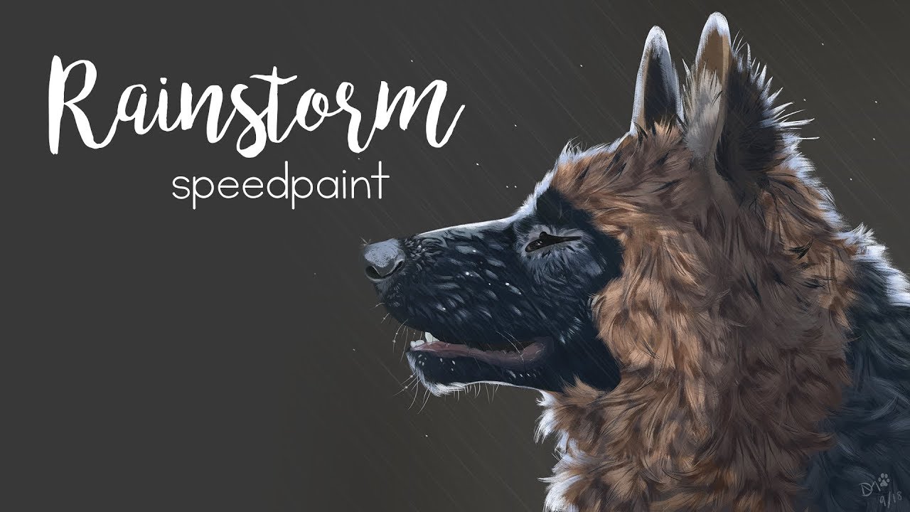 rainstorm || pet speedpaint [personal art]