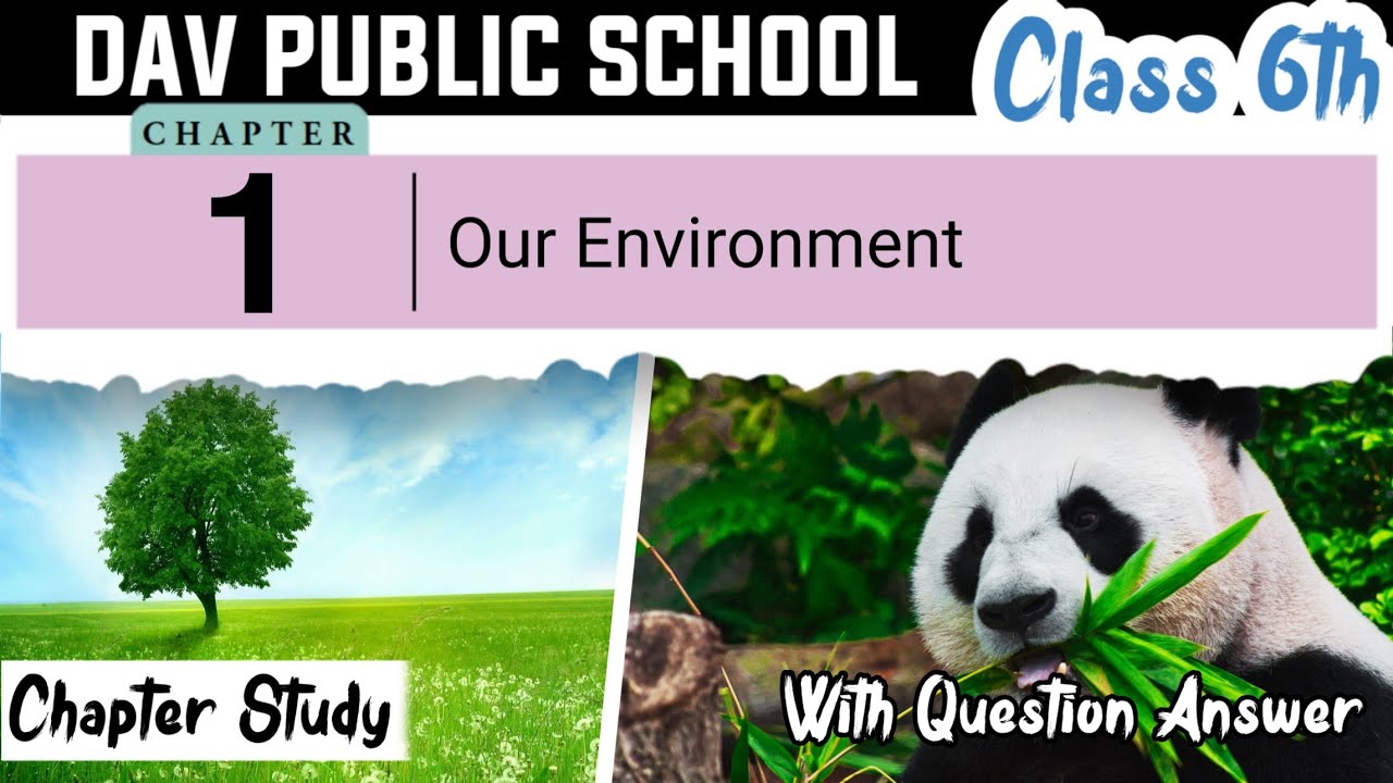 Chapter 1 | Our Environment | Class 6 DAV Science | All Questions | (Briefly Explained) 🔥🔥🔥