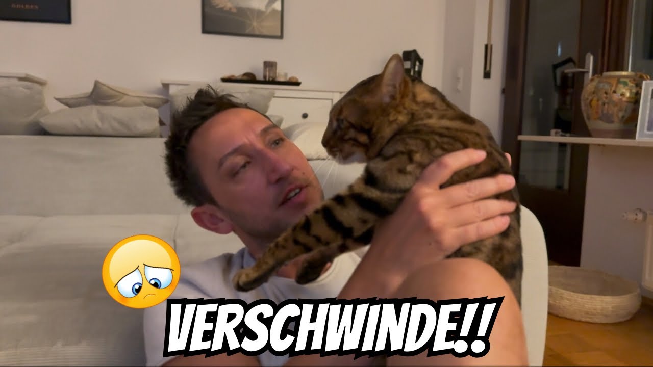 Cengiz ist sauer auf Bali und hat ihn rausgeschmissen 😔