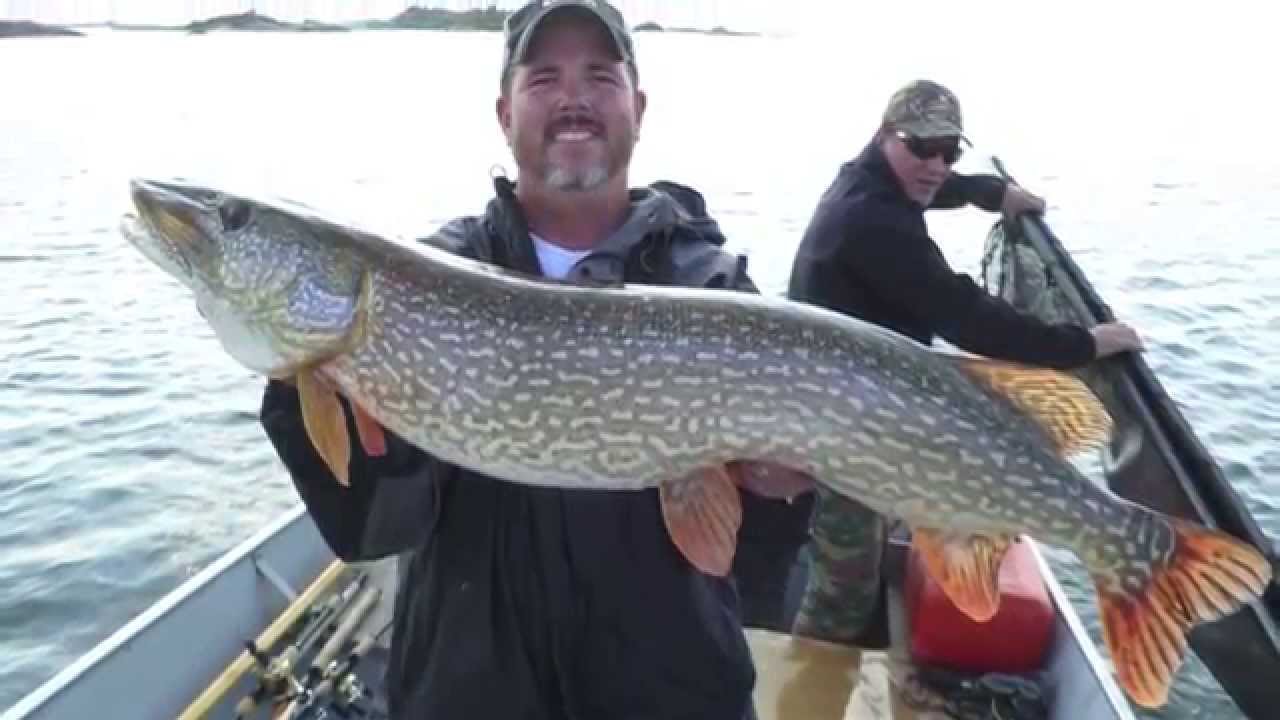 Taltson Bay Big Pike Lodge