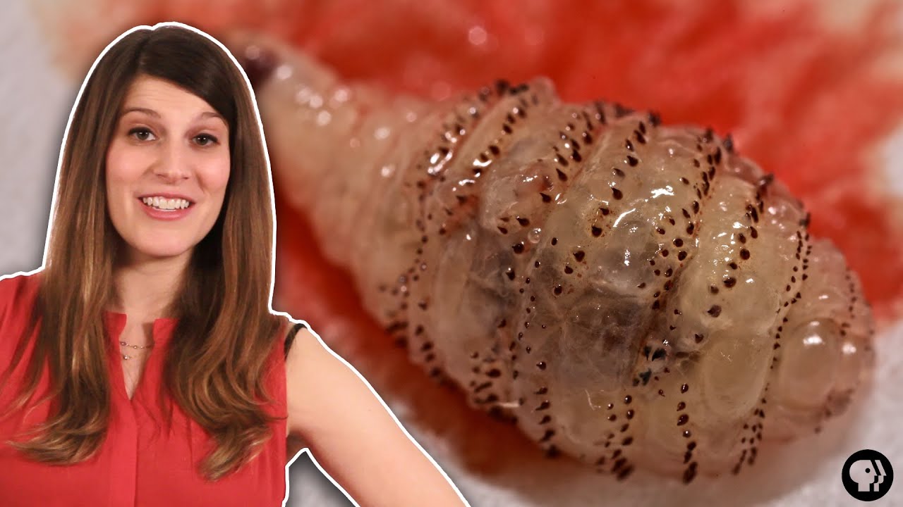 The Strangest Use For Bacon&hellip; Ever?