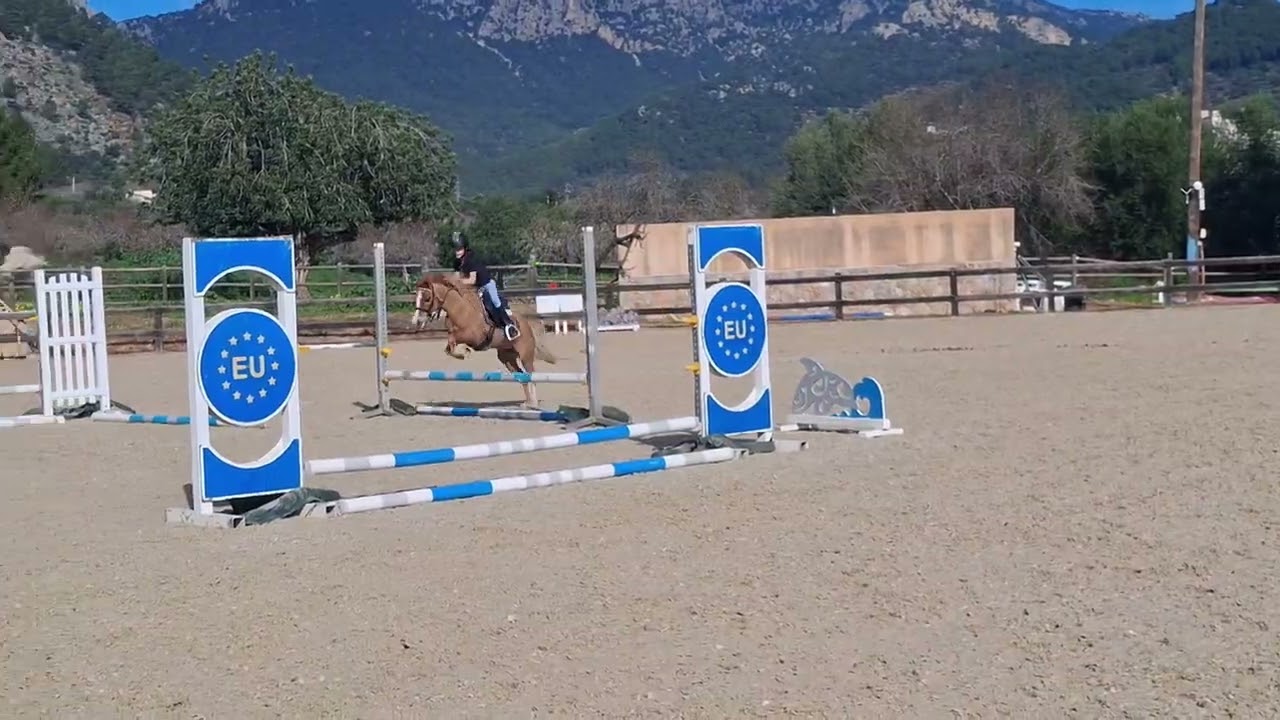 Preparandonos para la 9ª Jornada de La Winter League!!