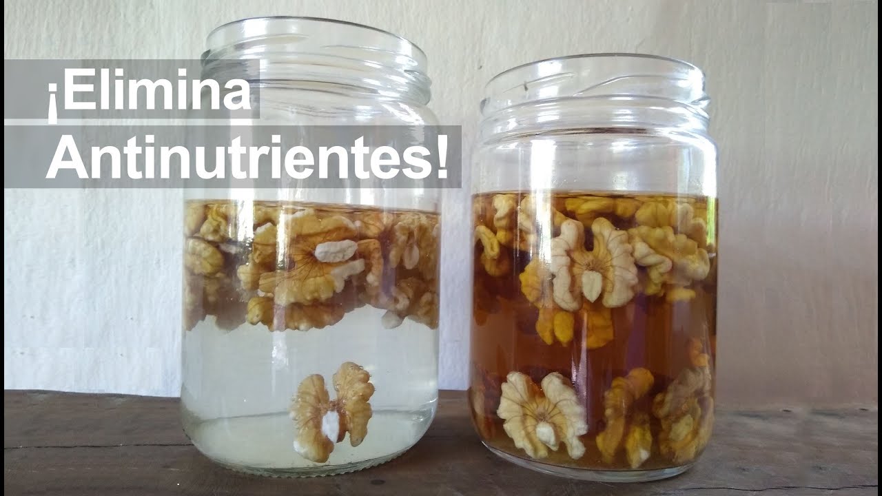 Frutos Secos &iquest;C&oacute;mo ACTIVARLOS? &iexcl;Elimina Antinutrientes!